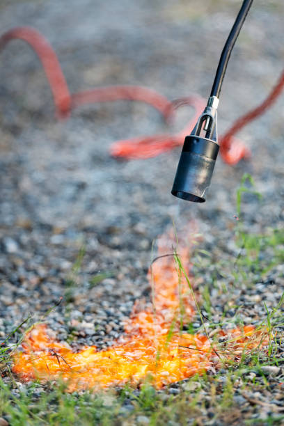 weedburner Home & Garden