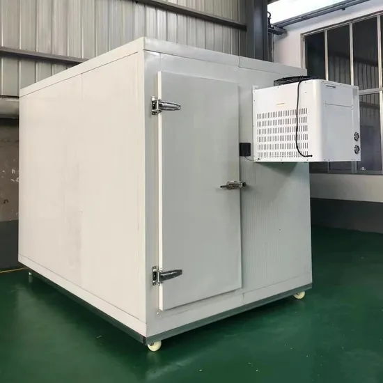 Caster-mounted Mobile Cold Rooms - Image 6